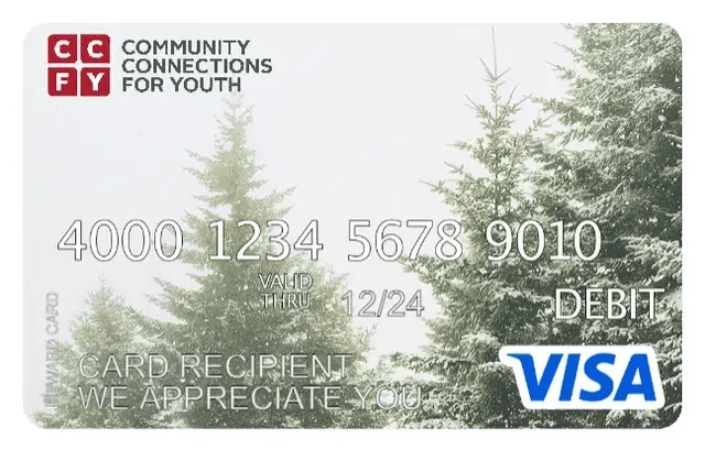 Who Can Benefit from Visa Gift Cards